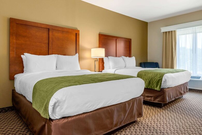 Hotel Comfort Inn Suites