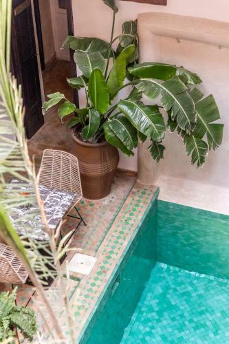 Hotel Riad Dar Elma & Spa