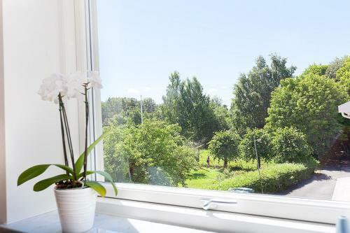 Ettsmart Hotell