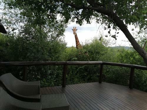 Motswiri Private Safari Lodge