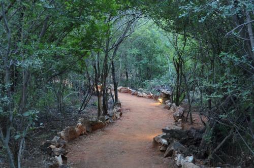 Motswiri Private Safari Lodge