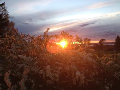 Kullsbj�rken Bed & Breakfast