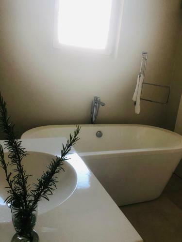 Impeccable 5 Beds Villa In Dubai