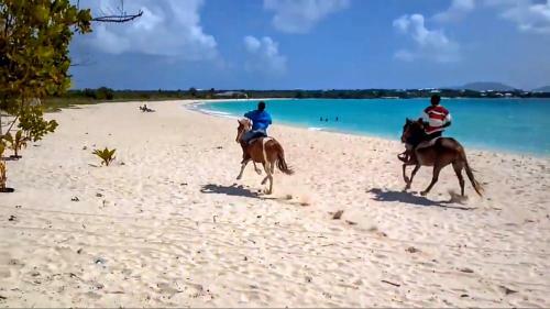 White Sands Anguilla