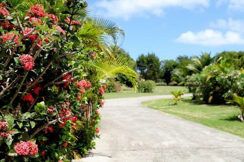 Cortsland Hotel Antigua