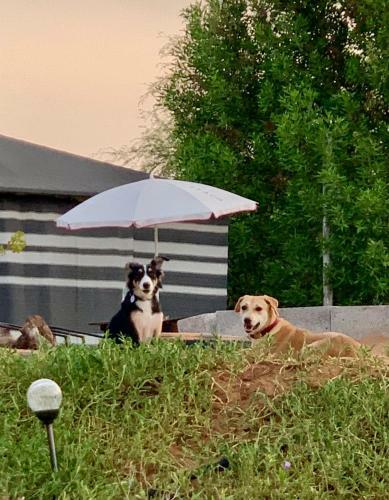 Rak Glamping
