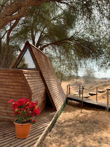 Rak Glamping