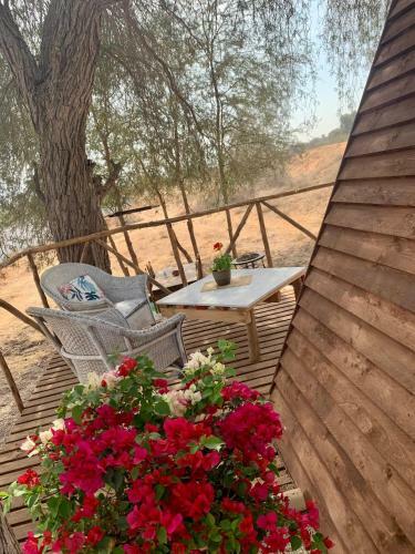 Rak Glamping