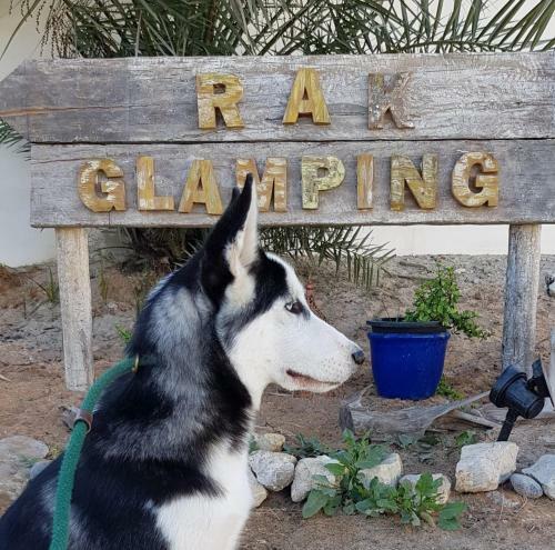 Rak Glamping