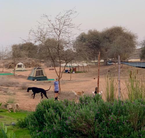 Rak Glamping