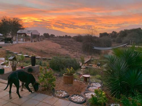 Rak Glamping