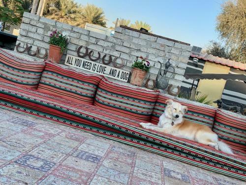 Rak Glamping