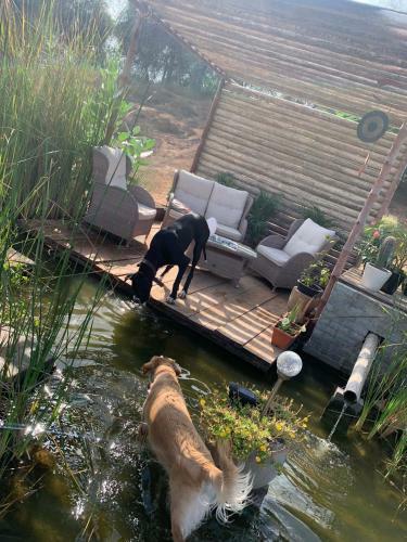 Rak Glamping