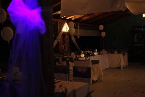 Hotel Elisabeta Borsh