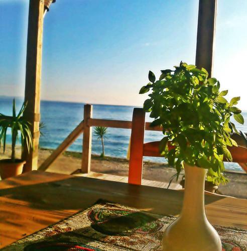 Hotel Elisabeta Borsh