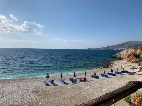 Hostal Room In Bb - Hotel Horizont - Shkalla Room 01