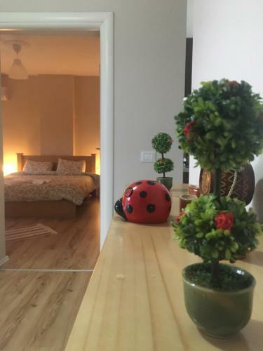 Hotel Trako`s Home