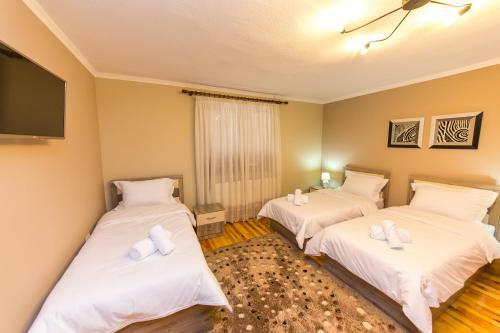 Hostal Bujtina Vila 10