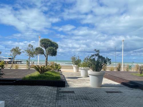 Apartamento Luiza?s Acomodation