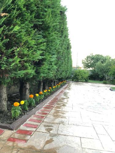 Airport Garden Hotel