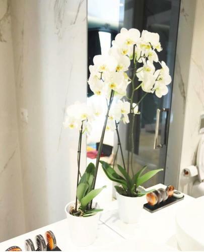 Art� Boutique Hotel