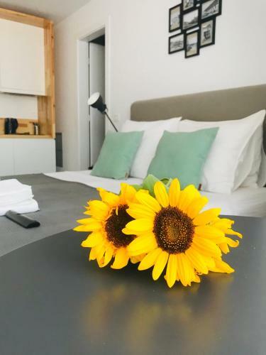 Apartamento Rooftop Tirana - Choose Balkans
