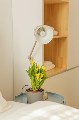 Apartamento Rooftop Tirana - Choose Balkans