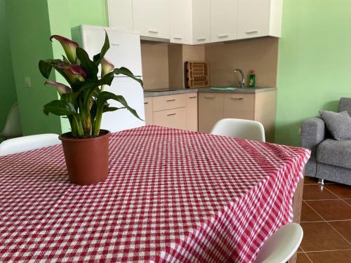 Apartamento Family Suite Residence