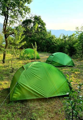 Green Zone Camping And Guest House