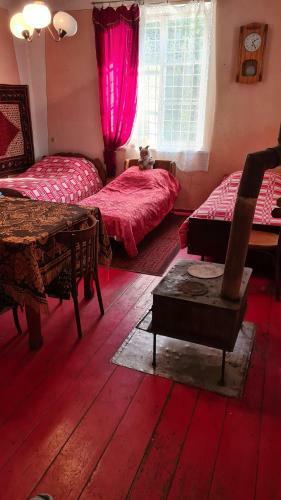 Green Zone Camping And Guest House