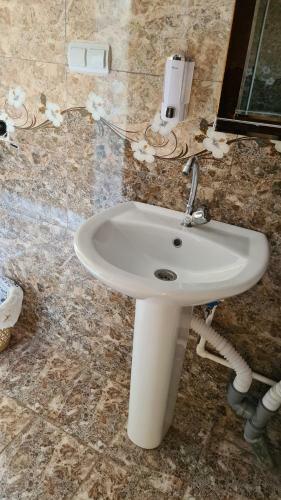 Green Zone Camping And Guest House