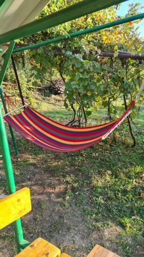 Green Zone Camping And Guest House