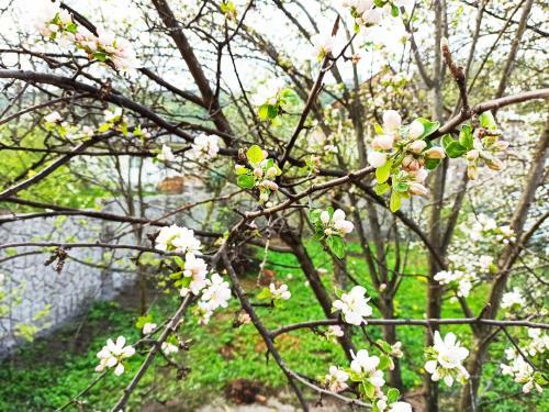 Hostal Jermatun Guest House