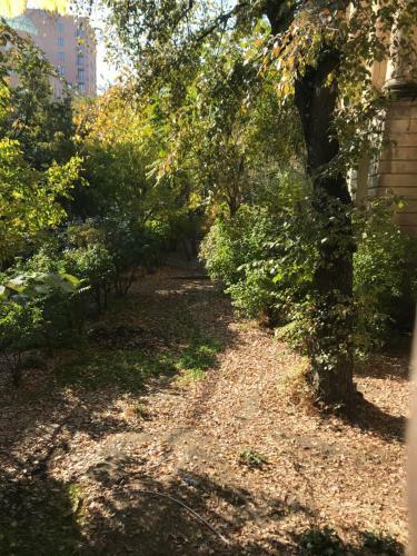 Comfortable Apartment In City Center