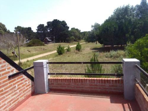 Los Colibries I