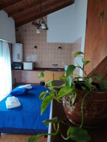 Apartamento La Tanita Departamentos