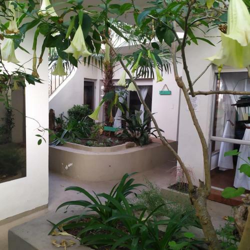 Apartamento La Tanita Departamentos