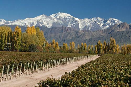 Apart Mendoza Centrico