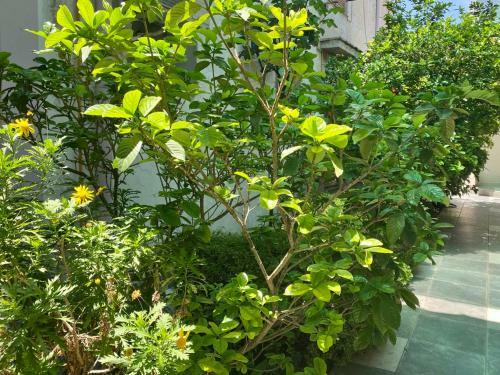 Hotel Villa In�s Mendoza