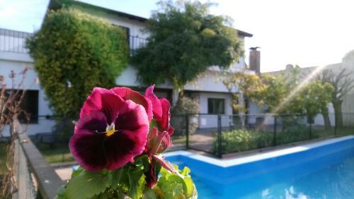 Duplex En Olavarria - La Calleja Apart