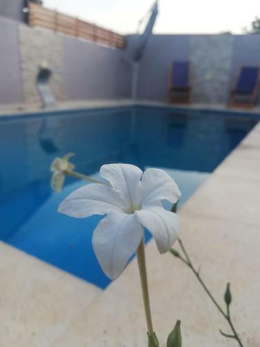 Hostal Apart Portal de La Selva