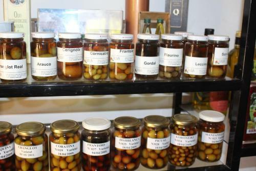 Caba�a En Olivar Centenario Agroecol�gico Tutuna
