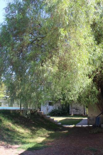 Caba�a En Olivar Centenario Agroecol�gico Tutuna