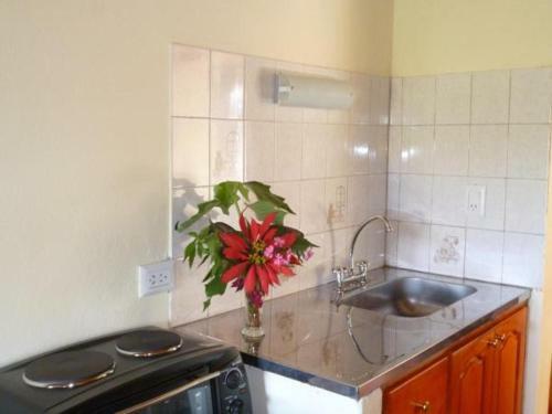 Apartamento Las Barrancas Del Paran� Iguaz�