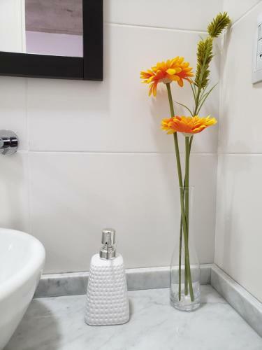 Apartamento Departamento Vera Mujica 2