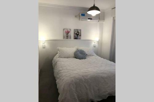 Apartamento Departamento 20 de Febrero