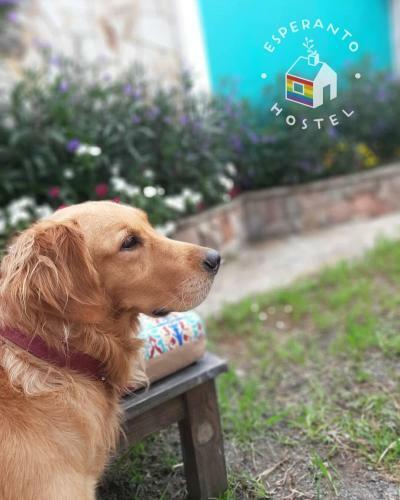 Esperanto Hostel