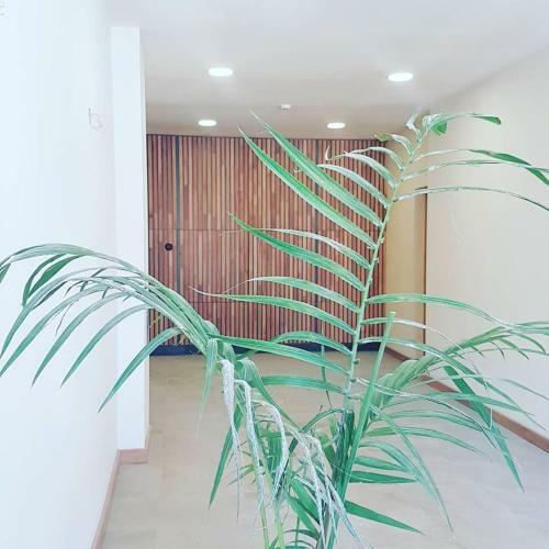 Apartamento Piedra Parada 37