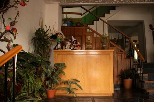 Hotel Los Duendes