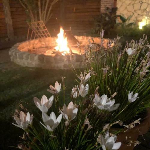 Agroturismo Complejo Arboreto